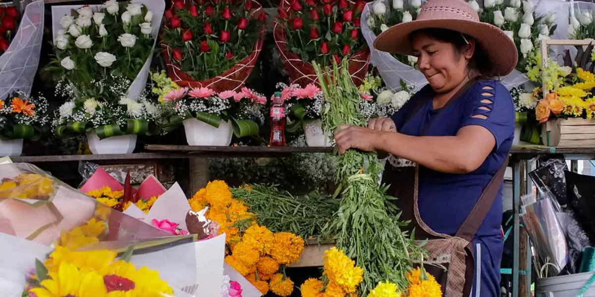 Este 2 de noviembre, comerciantes de la Central esperan elevar ventas por la flor
