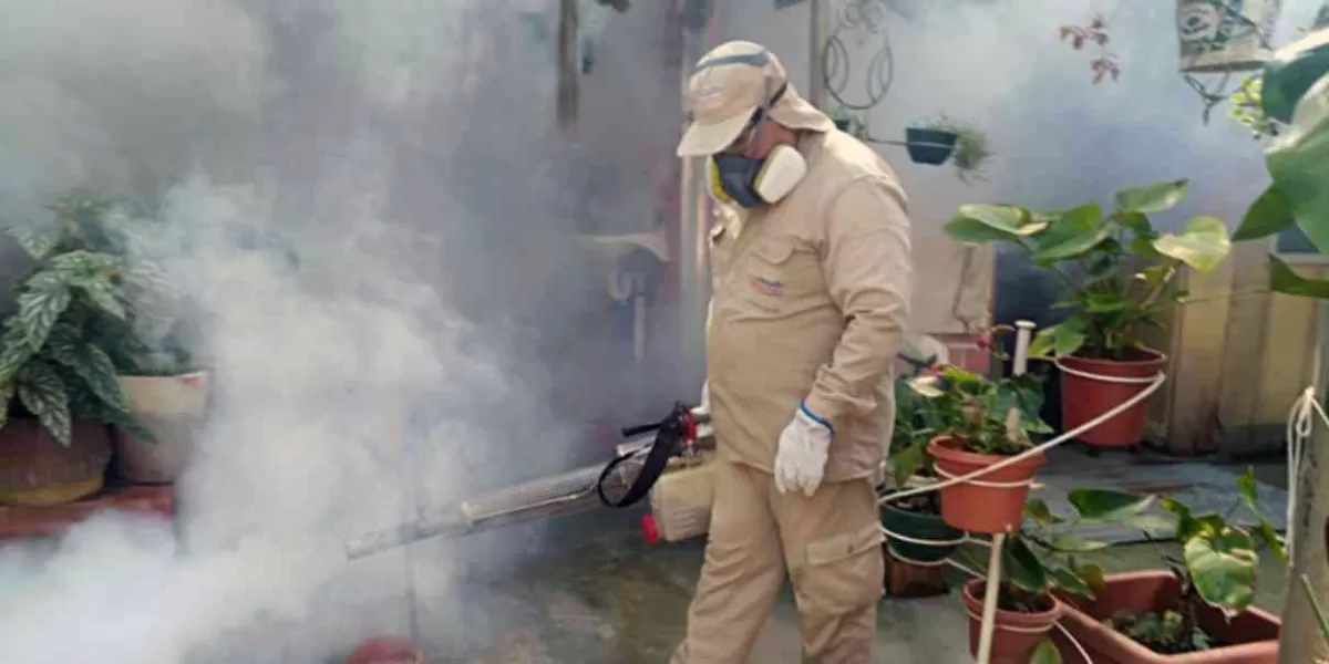Aumentan casos de dengue en Puebla