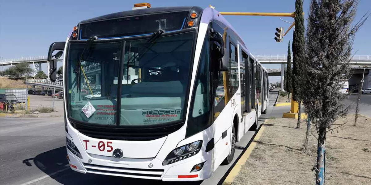 Licitan Línea 4 de Transporte para movilizar a usuarios de 6 municipios conurbados