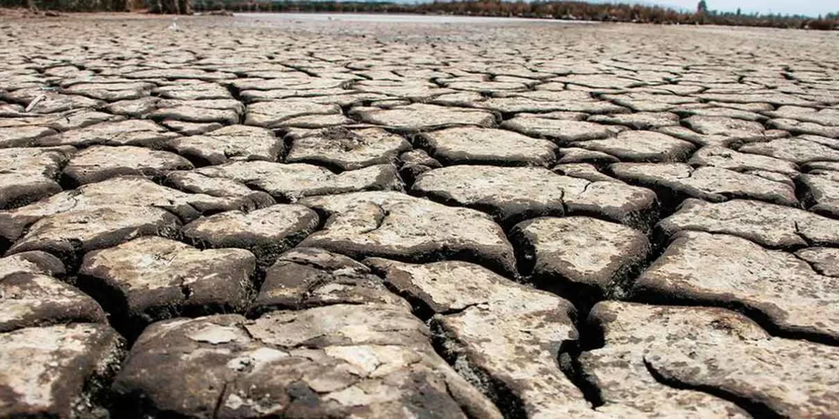 Reportan sequía en presas en pleno arranque de 2024; con el peor déficit de la historia