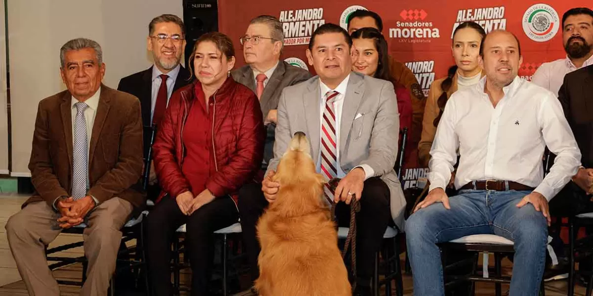 Manzanilla asegura que su labor de asesor político no entorpecerá candidatura