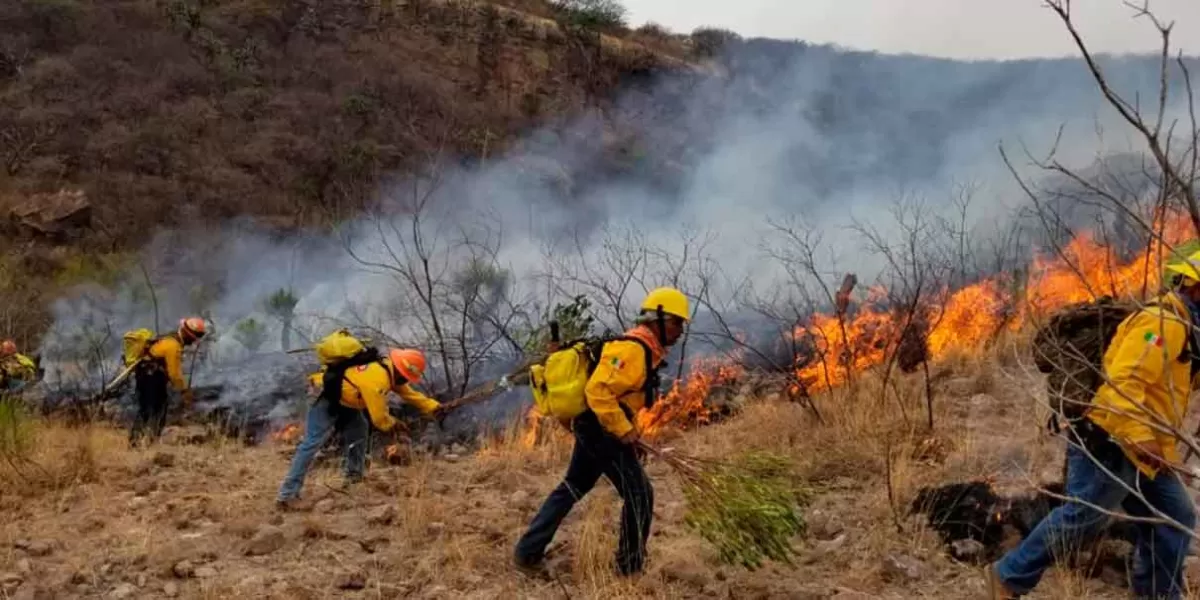 Ayuntamiento de Puebla activa teléfonos para reportar incendios en temporada de calor