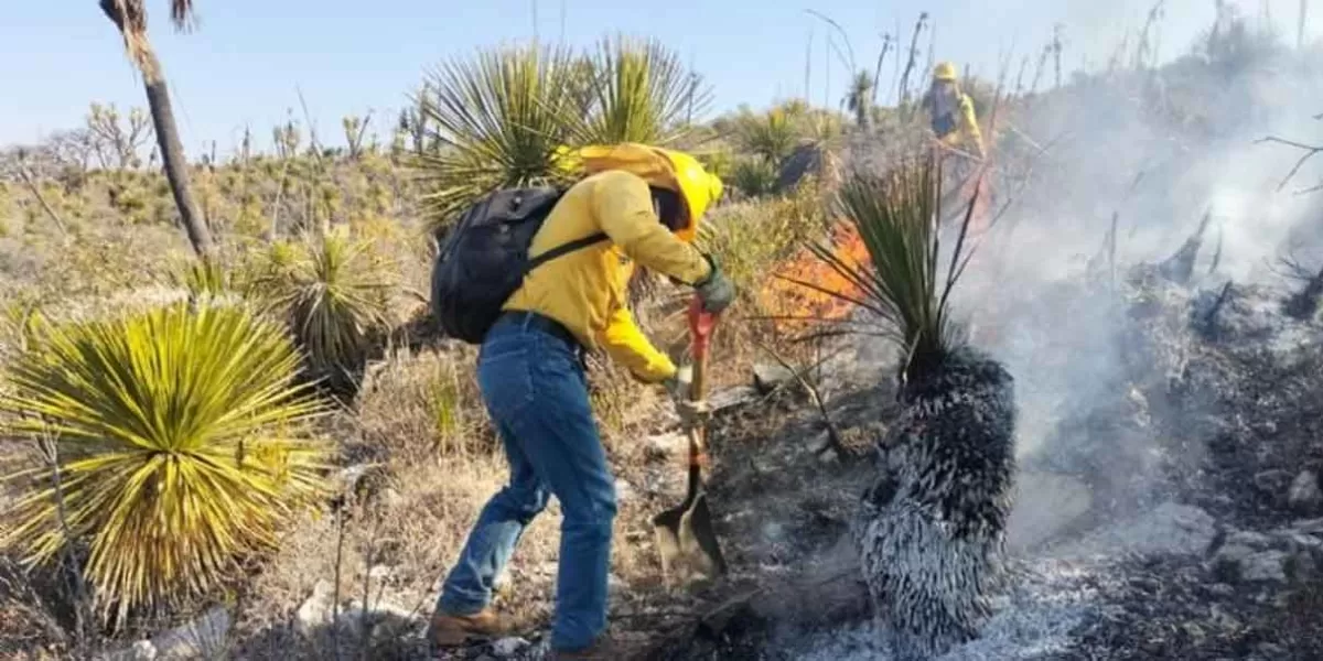 Brigadistas mueren calcinados al enfrentar incendios forestales en Puebla
