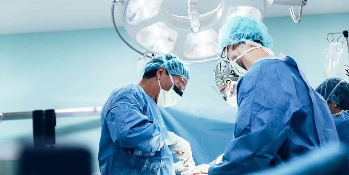 Cirujanos logran éxito en trasplante de riñón de cerdo a un humano