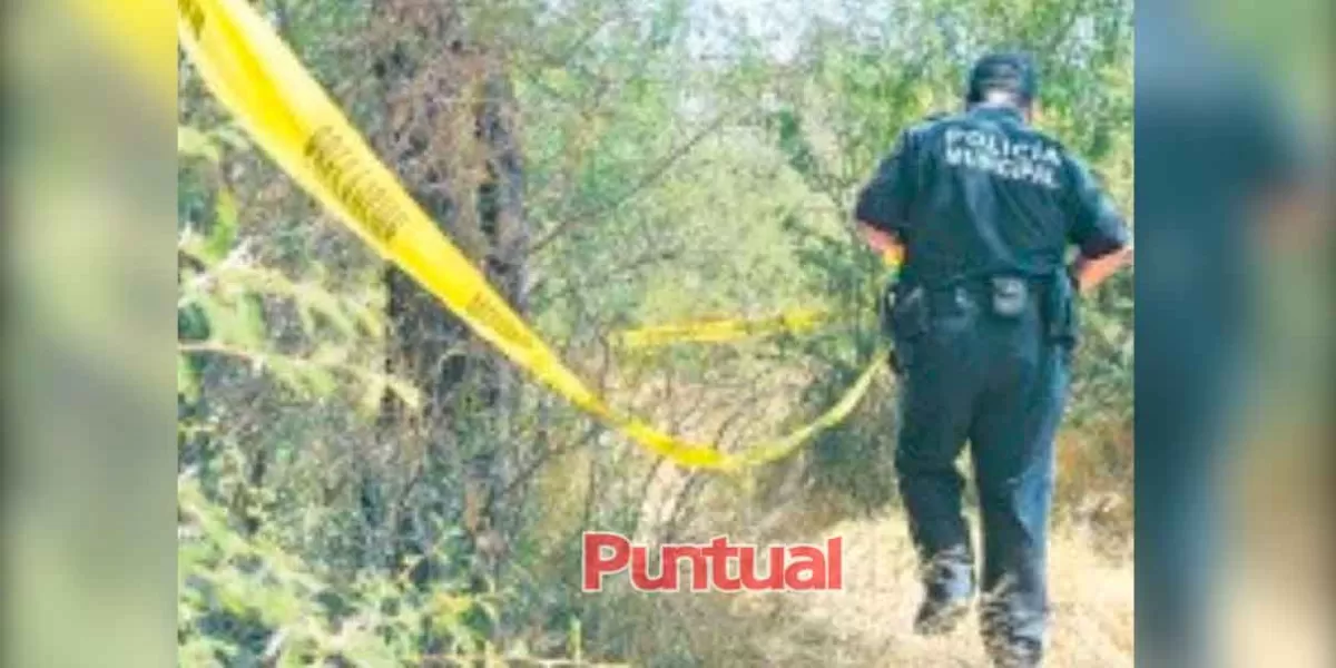 Hombre fue hallado en un árbol en Huauchinango, sospechan  un crimen 