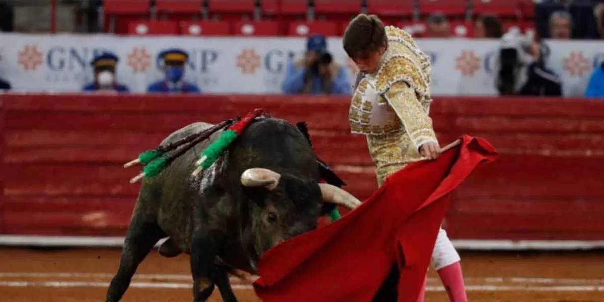 Continuarán las corridas de Toros en Plaza México; Tribunal revocó suspensión