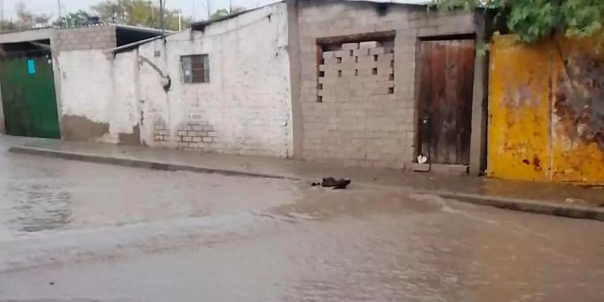 Fuertes lluvias dejaron inundaciones, caída de árboles y apagones en Tehuacán