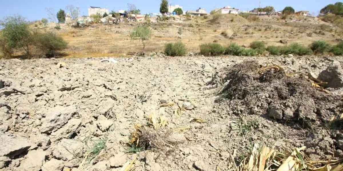 66 municipios poblanos son catalogados con sequía severa