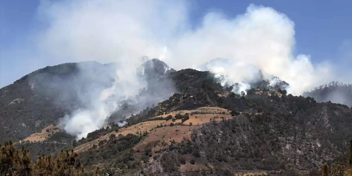 En seis meses, Puebla registró 400 incendios forestales