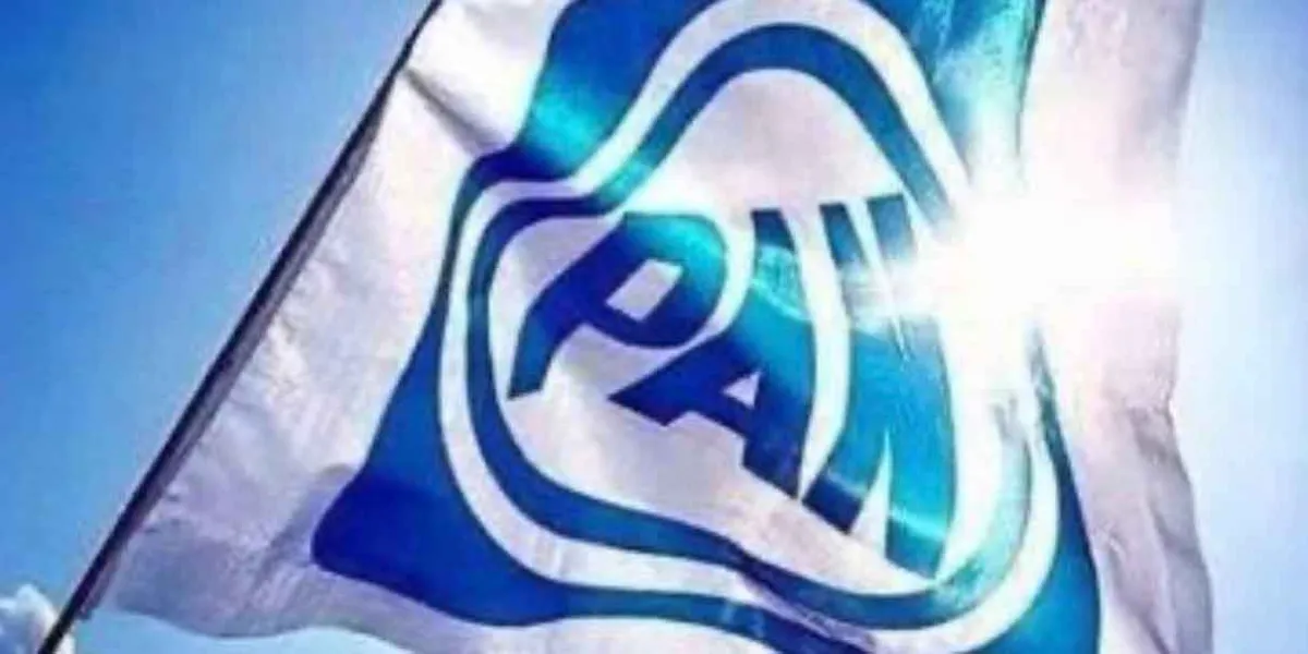 Habrá rebelión en el PAN si evitan el voto directo en elección de consejeros estatales
