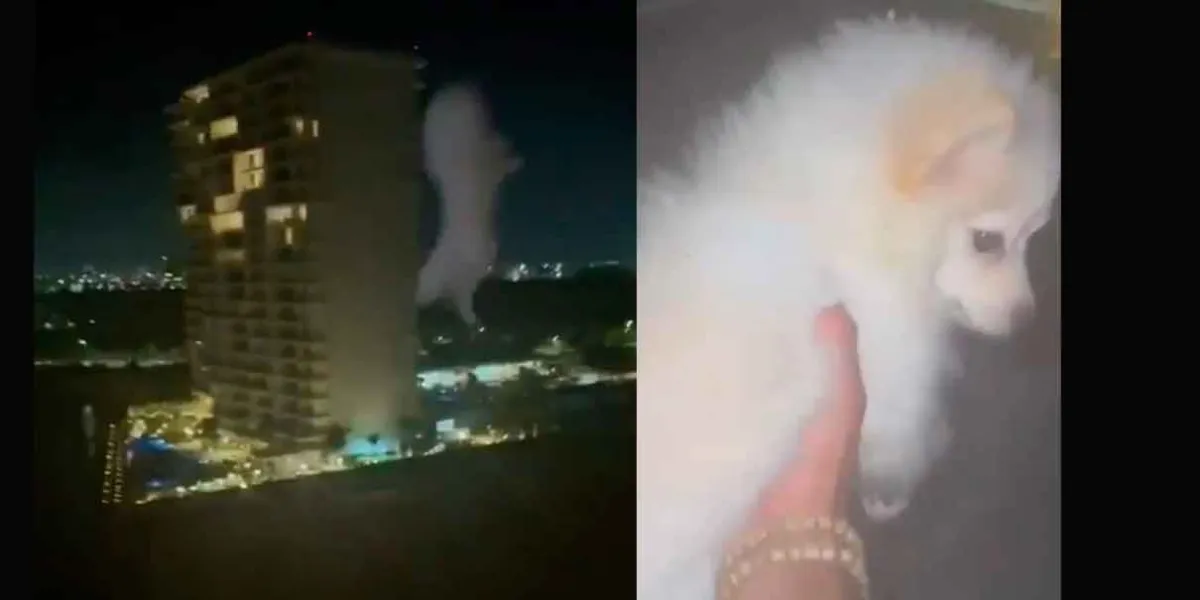 Extranjero graba como arroja a lomito desde un octavo piso en Cancún