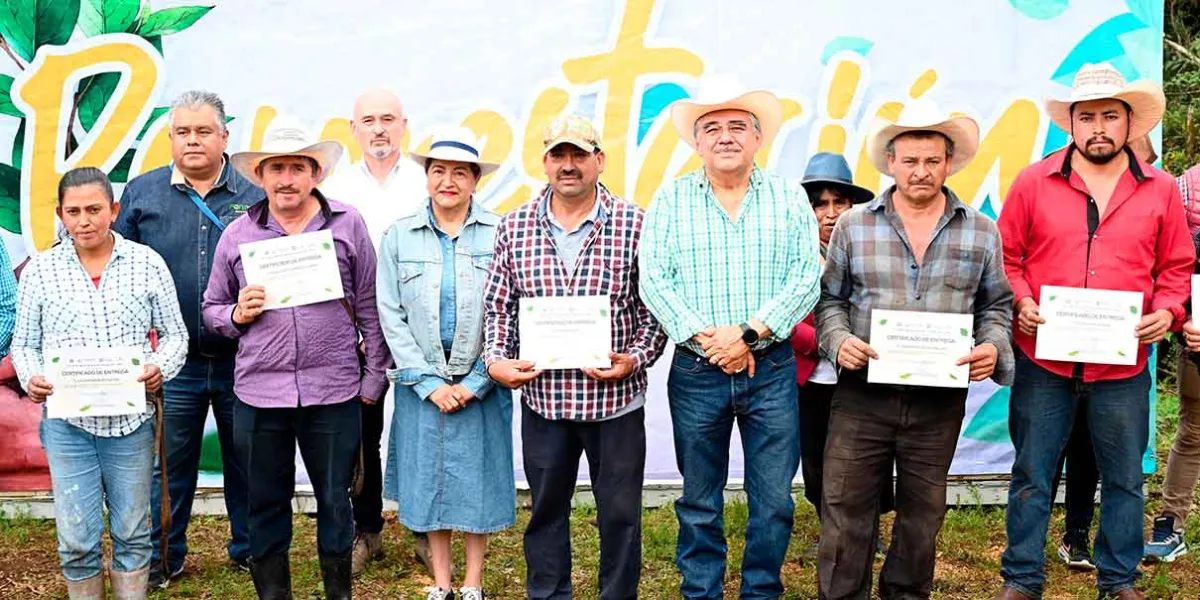 Reforestación en Huauchinango: 30 mil árboles para aumentar abastecimiento de agua
