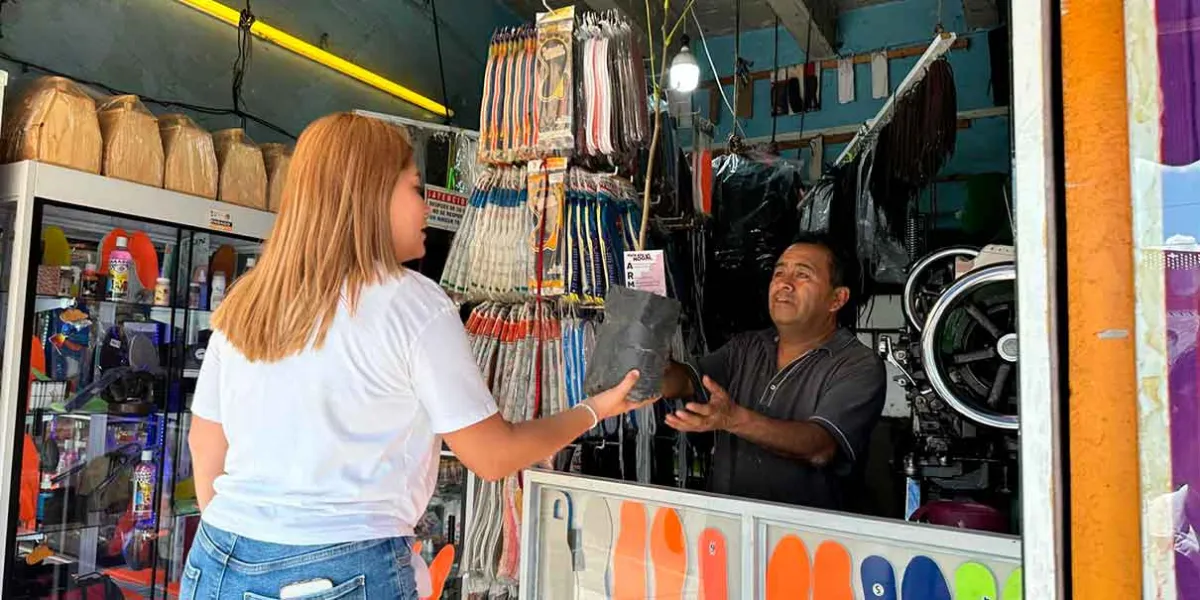 Armenta impulsa jornada de reforestación en Puebla con “Sembramos Esperanza”