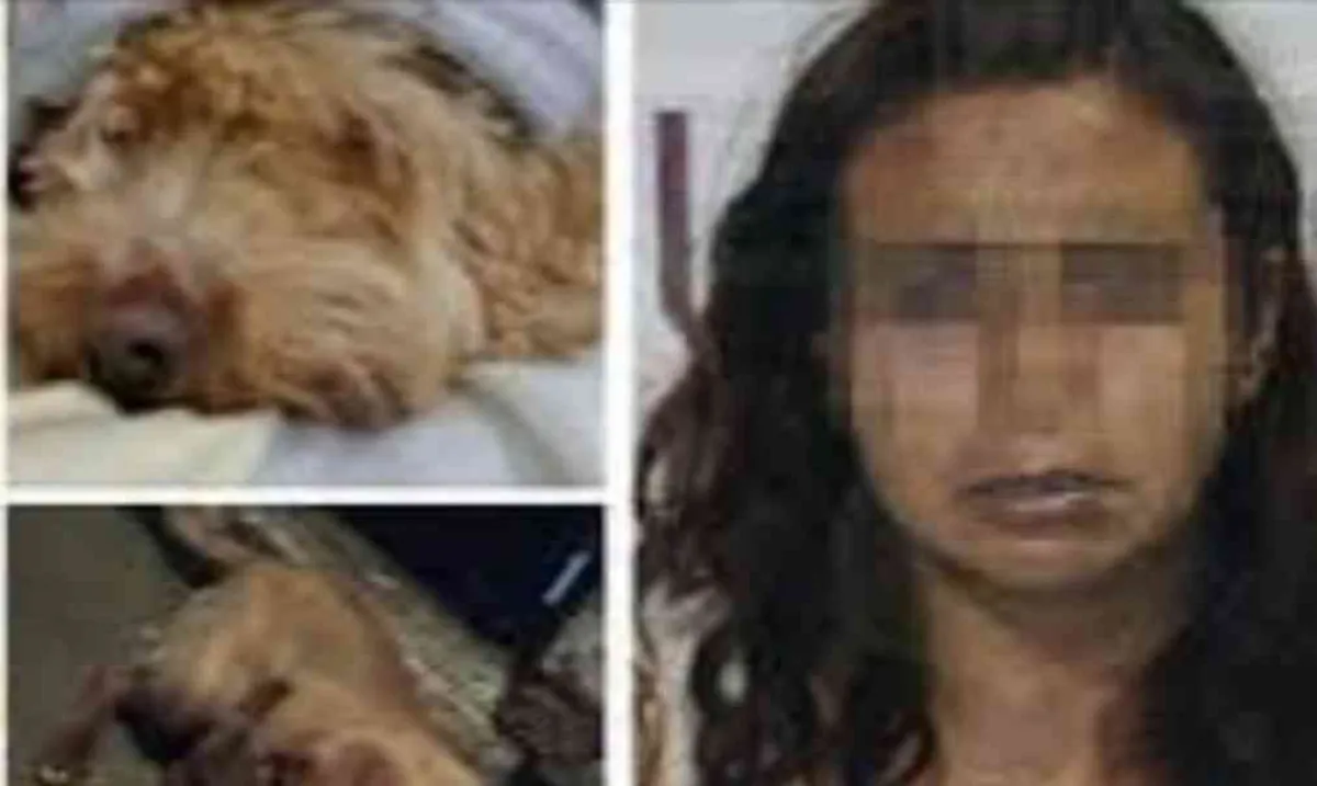“La Mataperros” poblana pasará más de 2 años en prisión por crueldad animal