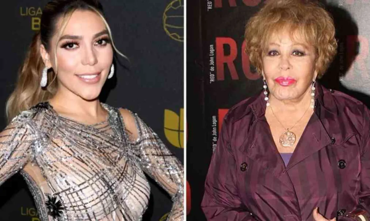 Las migajas del testamento de Silvia Pinal son de Frida Sofía, cayeron en mentadas 