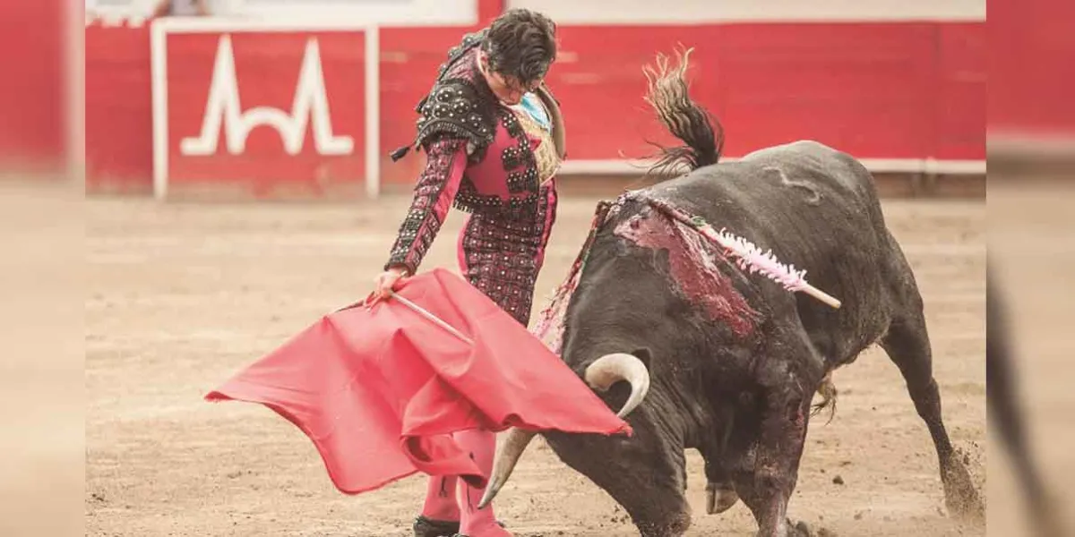 PVEM afirma que votará a favor de prohibir las corridas de toros en la CDMX 