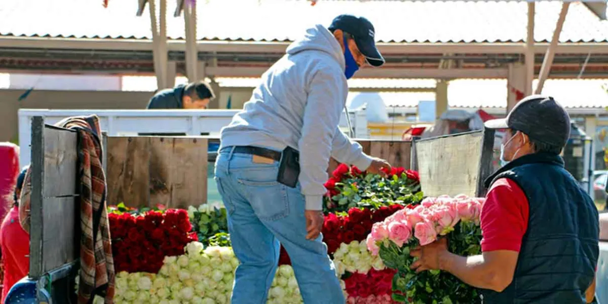 Productores de rosas en Atlixco se preparan para el 14 de febrero