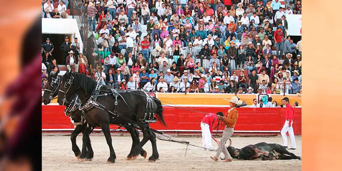 CDMX aprueba las corridas de toros sin violencia ¿Cuándo arranca?