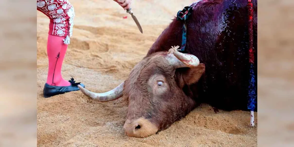 Congreso de CDMX retoma discusión sobre prohibición de corridas de toros