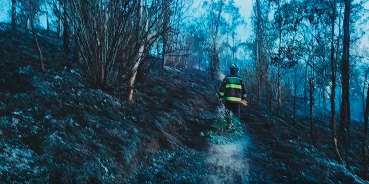 Pena de hasta 10 años de cárcel a quien provoque incendios forestales en Puebla