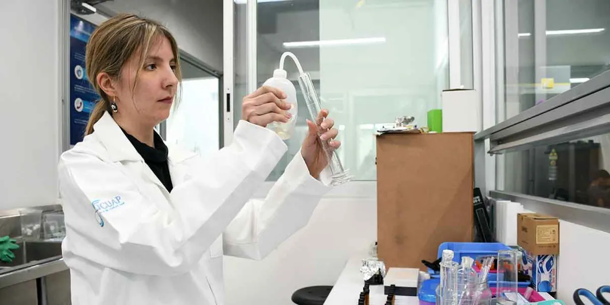 Investigadores BUAP analizan la acumulación de micro y nanoplásticos en modelos animales