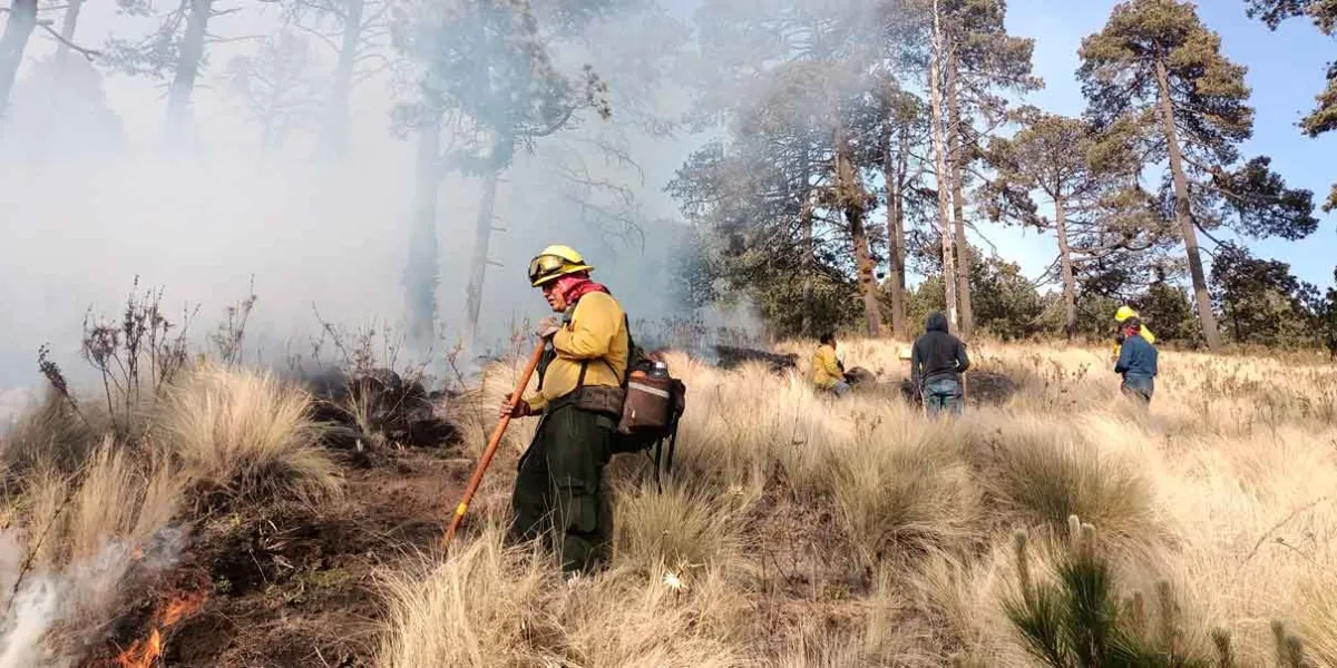 Voraces incendios calcinan el bosque poblano