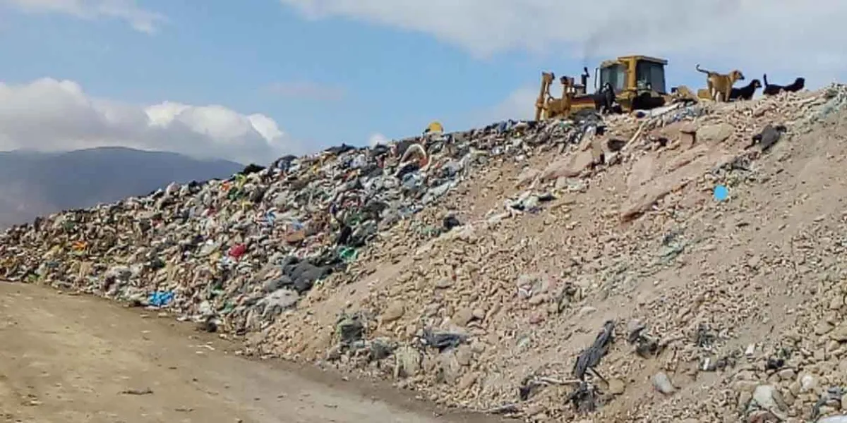Daño ambiental a la reserva de la biosfera Tehuacán-Cuicatlán debe ser atendido por Profepa