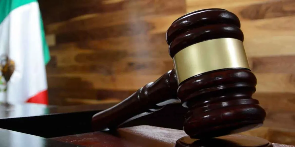 Desconocimiento provocará baja participación en elección judicial: COE