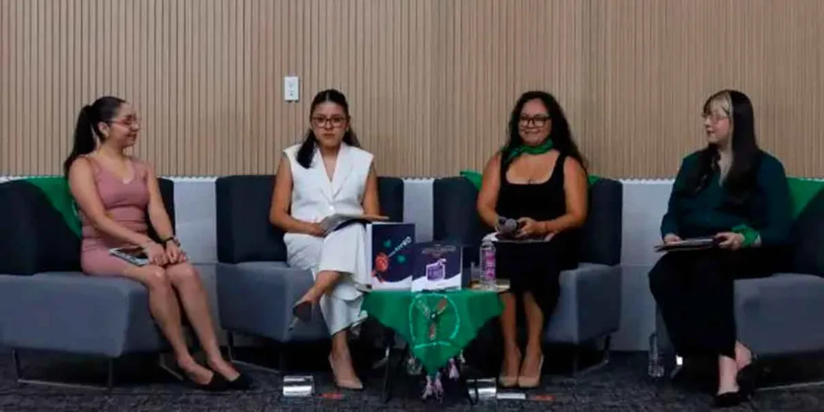 Colectivos presentaron guía para vigilar acceso al servicio de aborto seguro