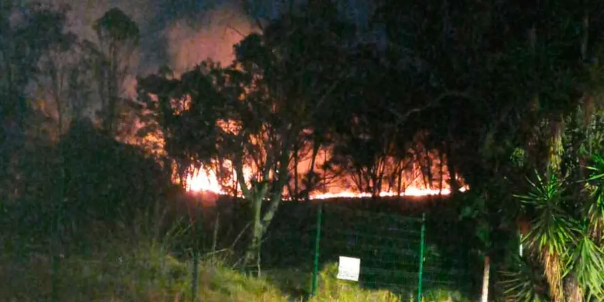 Incendio forestal en el cerro de Amalucan alertó a vecinos de Bosques de San Sebastián