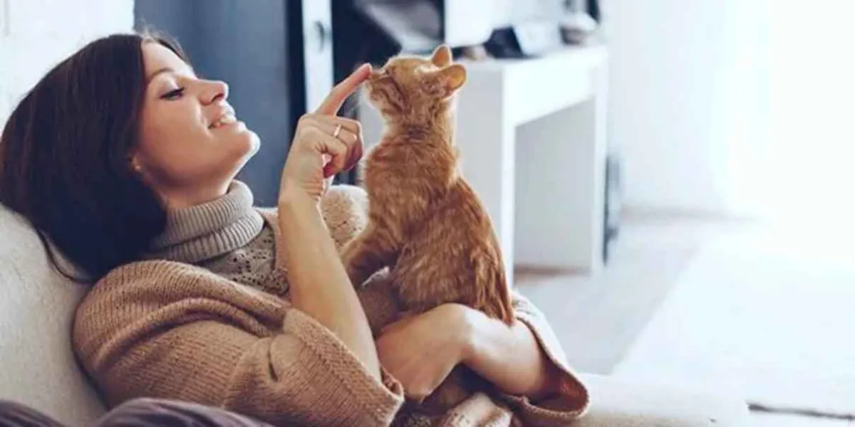 Tener un gato reduce la ansiedad y causa efectos positivos en la salud mental