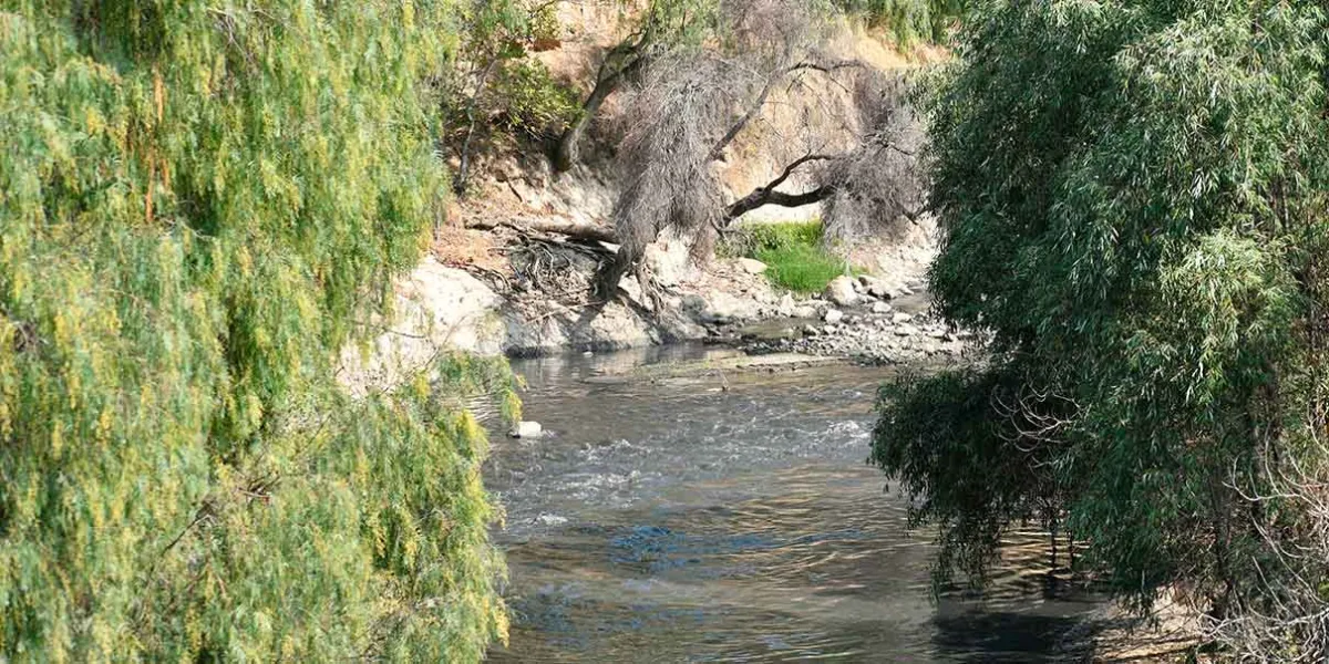 Urge rescatar al río Atoyac
