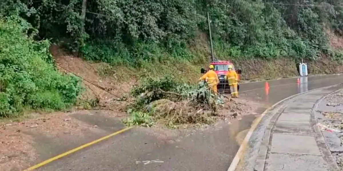 Inundaciones y deslaves en la Sierra Norte; tormentas también derriban árboles