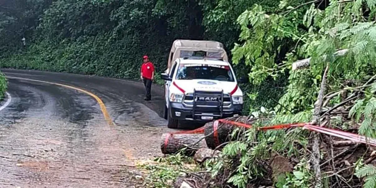 Lluvias por Erick causan derrumbes y afectaciones en Puebla