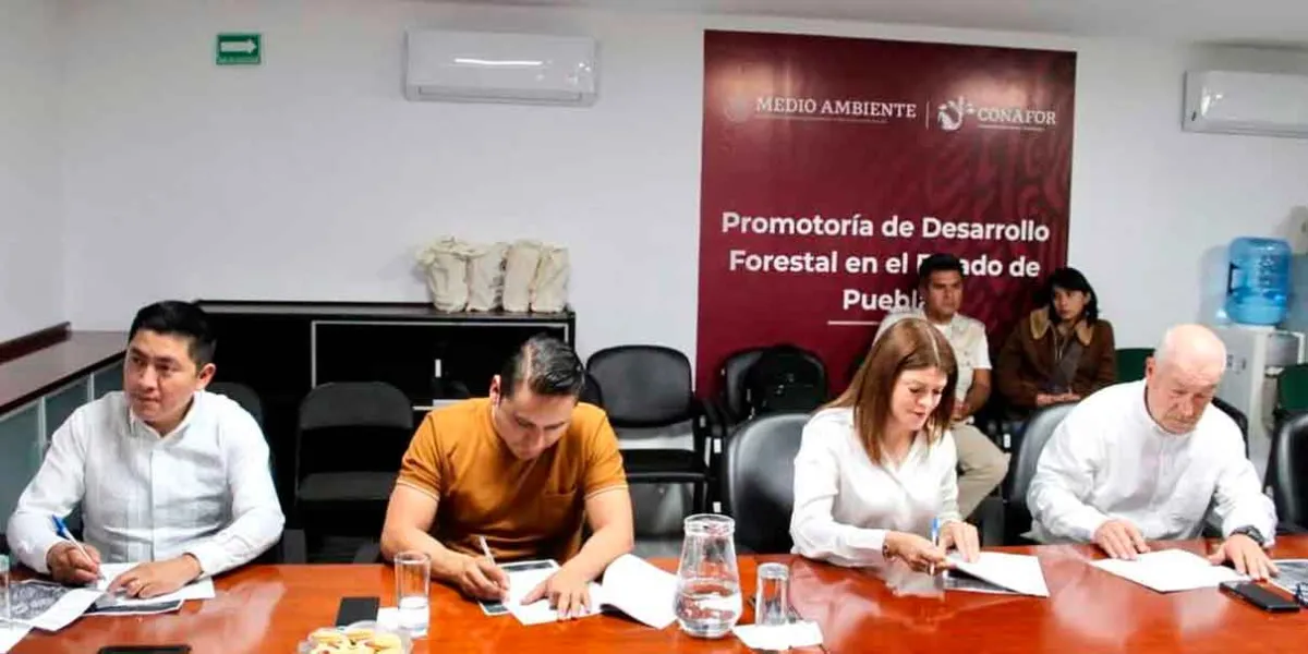 Firma Gobierno de la Ciudad y CONAFOR convenio de colaboración para fortalecer el cuidado del medio ambiente