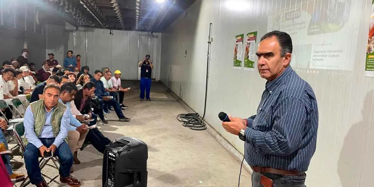 Refuerza Gobierno de la Ciudad acciones para prevenir la propagación del gusano barrenador
