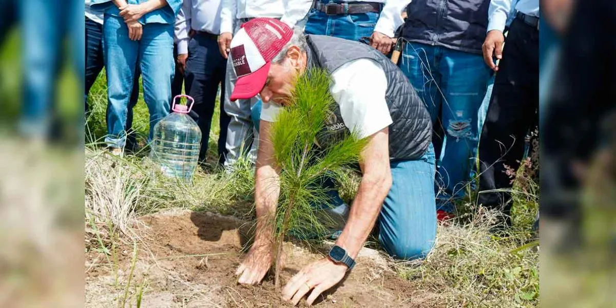 Se suma La Resurrección al programa “Raíces del Futuro” del Gobierno de la Ciudad