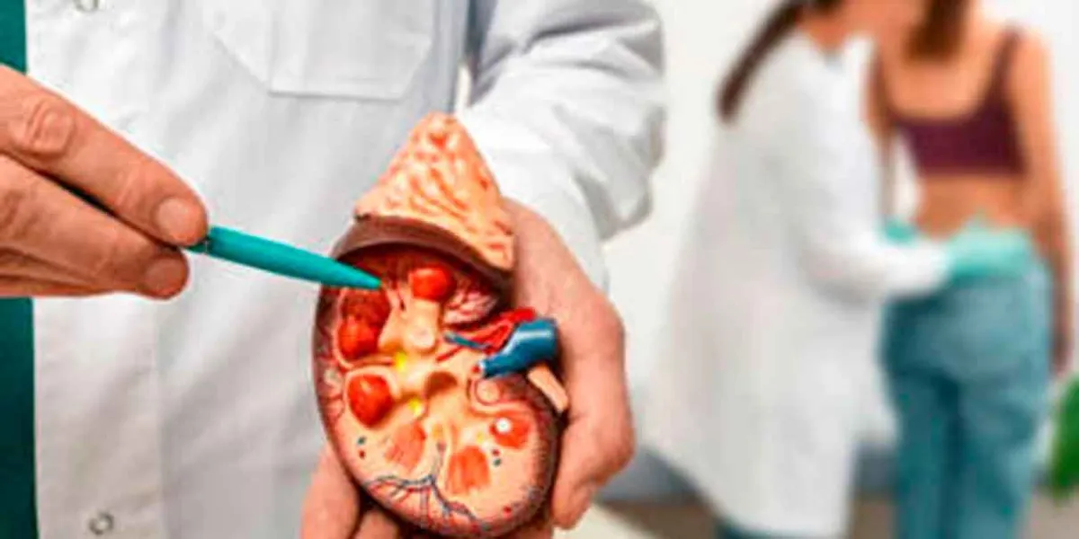 Hábitos clave para prevenir la enfermedad renal crónica desde la infancia