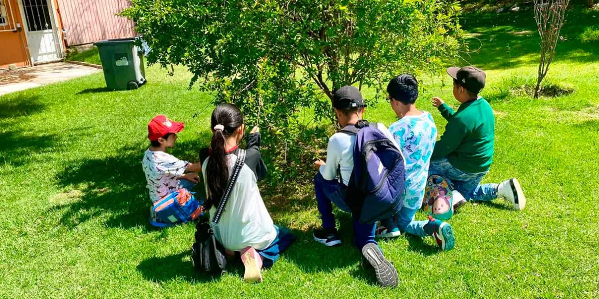 Inicia curso de verano “Vive tus parques… ¡Vive Imparable!” en Puebla: bienestar, valores y conciencia ambiental