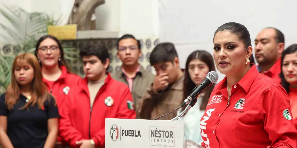 Por vacíos jurídicos en Ciberasedio, la ley podría ser mal aplicada: PRI