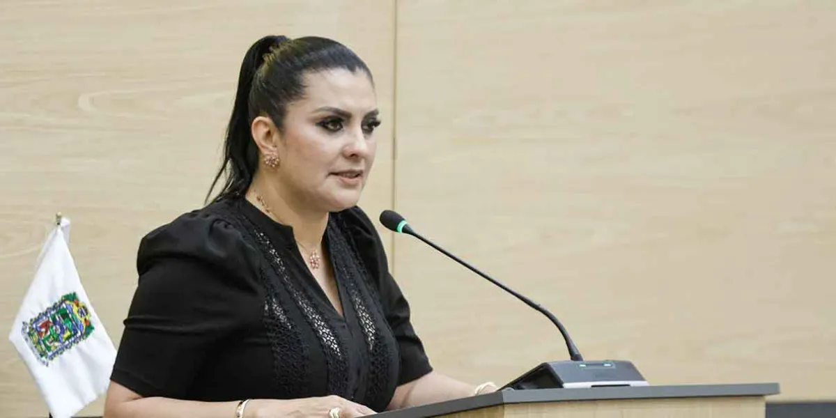 Diputada Delfina Pozos denuncia asalto en carretera: PRI refuerza llamado por seguridad vial en Puebla