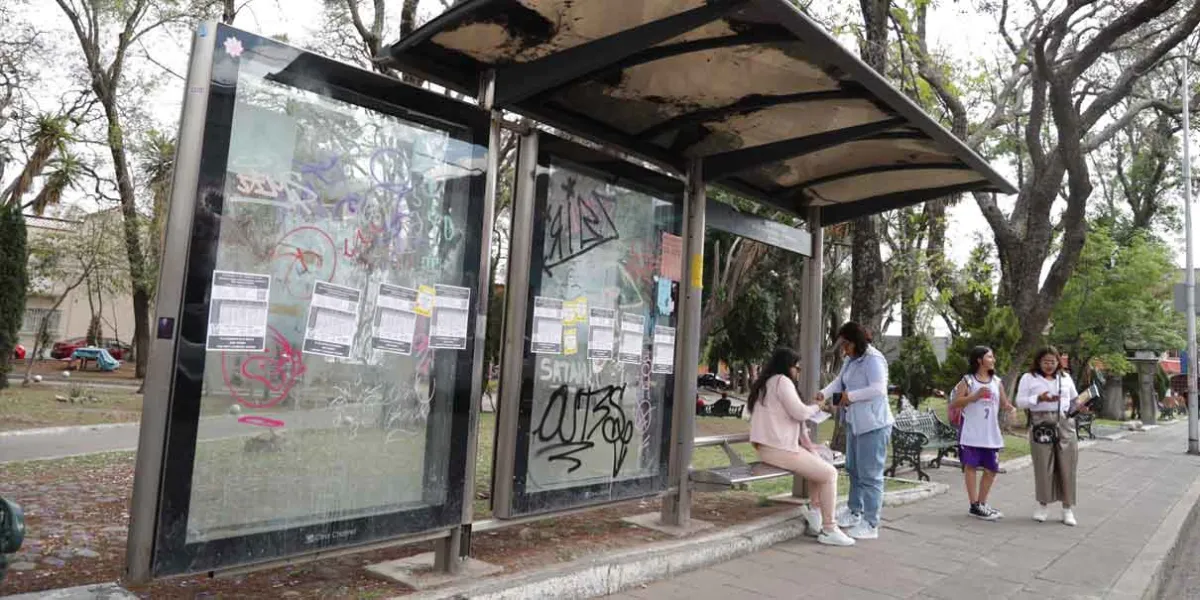 No hay “elegido” para entregarle la concesión de paraderos: Chedraui
