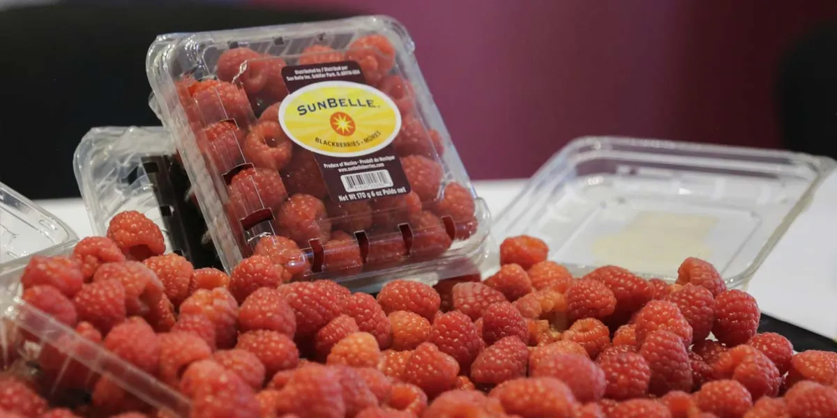 San Diego Buenavista te invita a su Feria de las Berries del 21 al 24 de agosto