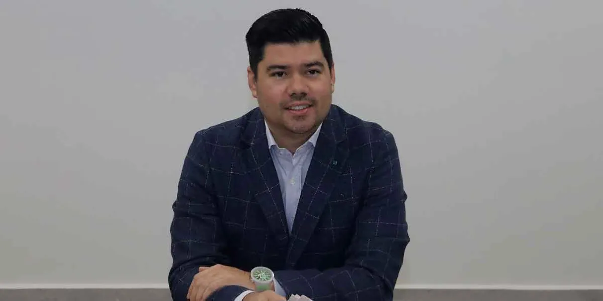 Se preparan los ecologistas para ganar más alcaldías en 2027