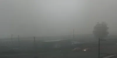 Neblina