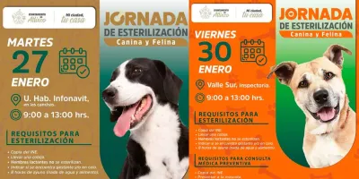   Ariadna Ayala impulsa jornadas gratuitas de Servicios Veterinarios en Atlixco