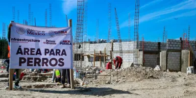 La Célula de Bienestar Animal registra un avance del 38%