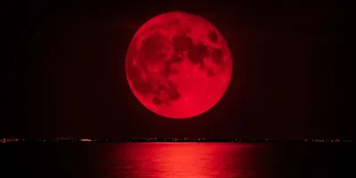 ¿Dónde ver la Luna de Sangre en línea? Aquí puedes seguir el ECLIPSE de marzo