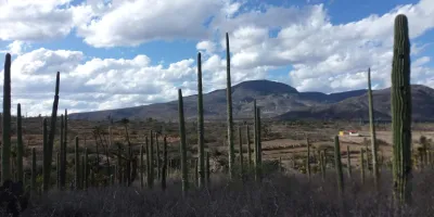 El desierto de Puebla que alguna vez fue océano: descubre San Juan Raya
