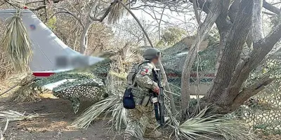 Interceptan avioneta con más de 500 kilos de cocaína en Oaxaca